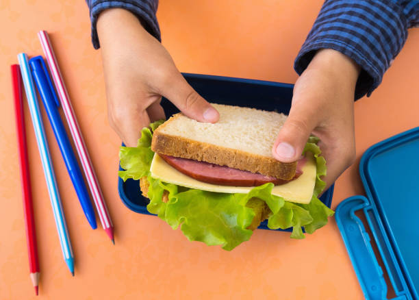 elementary age school boy with lunch box eating a sandwich with cheese, sausage and leaf lettuce. school food, concept image. close-up, selective focus. - child human hand sandwich lunch box imagens e fotografias de stock