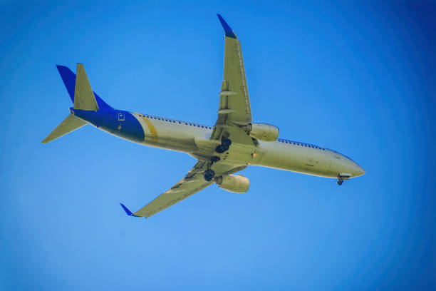 istock Airplane in the sky and cloud 1161750182