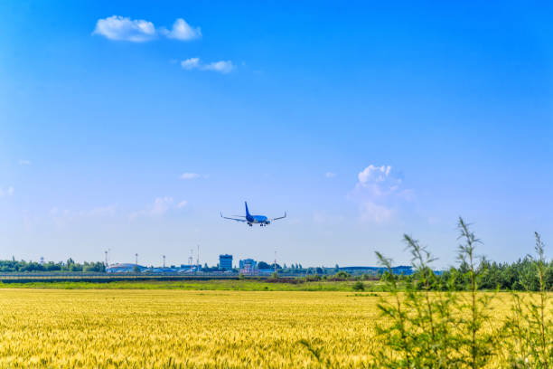 istock Airplane in the sky and cloud 1161750291