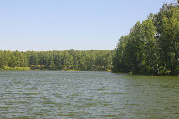 istock Summer landscape with wild lake in green forest. 1161756740