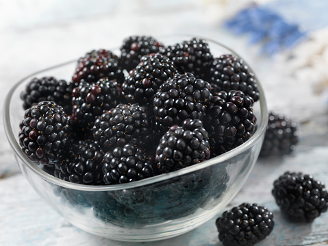 Bowl of Fresh Blackberry's