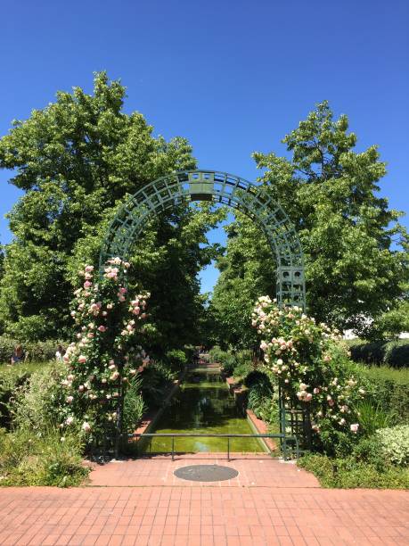 porta delle rose nel giardino pubblico - 4397 foto e immagini stock