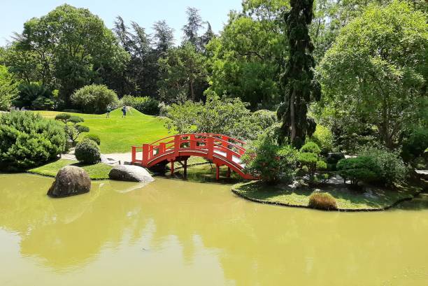 Traditional japanese garden in Toulouse stock photo