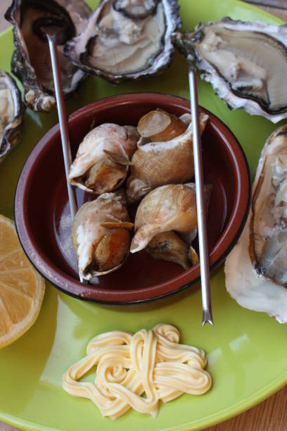 istock Oyster open and Cooked whelk mayonnaise 1161759951
