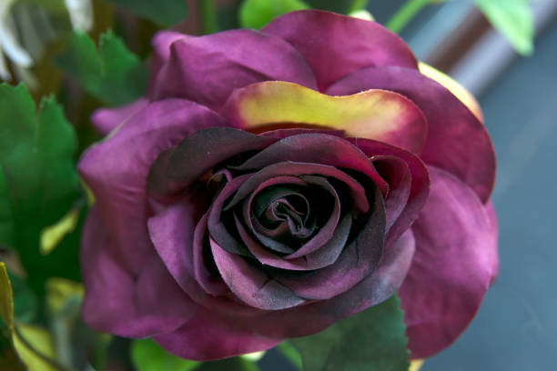 istock Artificial Purple Fake Flowers Rose Bouquet 1161760167