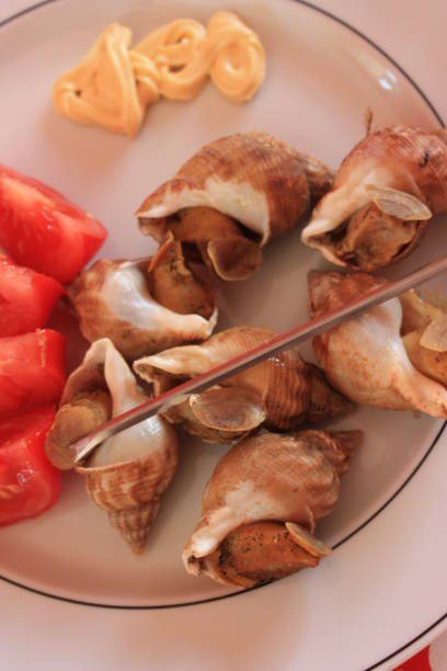 istock Cooked whelk mayonnaise served with tomato 1161760182
