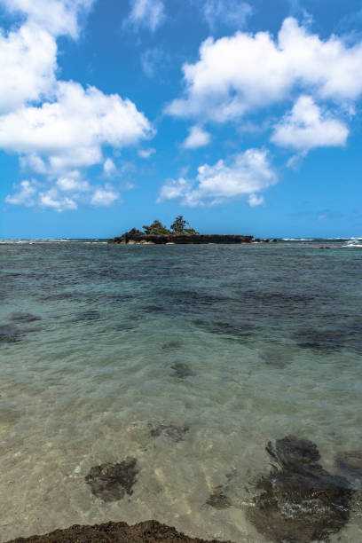 istock The coast along Kawela Beach, Oahu, Hawaii 1161763895