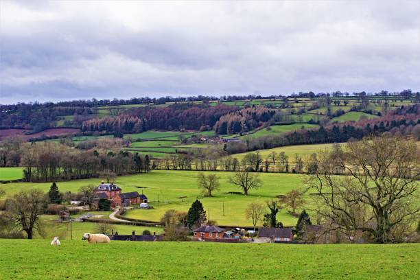 istock Farmland in Ashbourne, Derbyshire, England. 1161764350