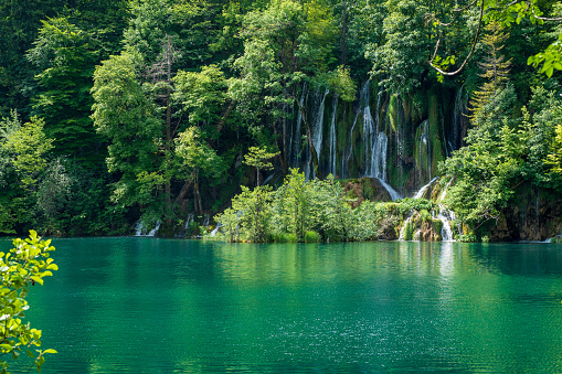 Crystal clear, pure water rushing down mossy rocks into a beautiful azure colored lake at the Plitvice Lakes National Park, Plitvička Jezera, Croatia
