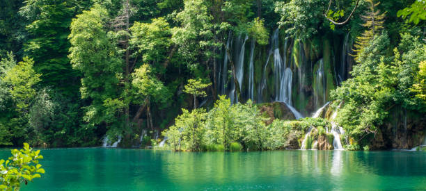 istock Crystal clear, pure water rushing down mossy rocks into a beautiful azure colored lake at the Plitvice Lakes National Park, Plitvička Jezera, Croatia 1161768310
