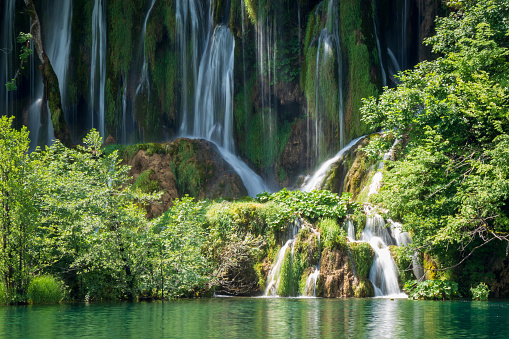 Waterfalls splashing down an overgrown rock face at the Plitvice Lakes National Park.\nPlitvička Jezera, Croatia - June 25th 2019 - Official photography permission obtained by the Plitvice Lakes National Park and available on request.