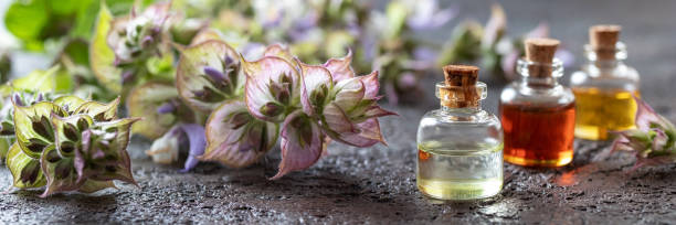 istock Panoramic header of essential oil bottles with blooming clary sage 1161771858