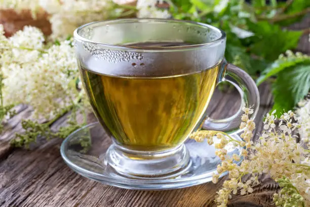 Herbal tea with fresh meadowsweet flowers on a table - used as a natural alternative to aspirin