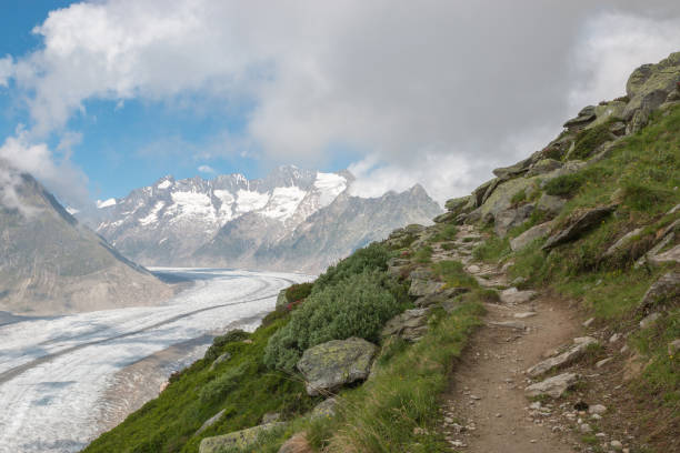 istock Panorama of mountains scene, walk through the great Aletsch Glacier 1161772305