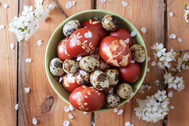 istock Quail and Easter eggs dyed with onion peels with a pattern of fresh herbs 1161773567