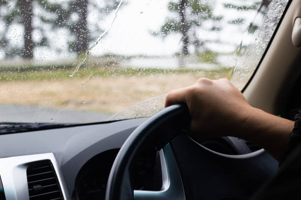 istock Cropped Image Of Person Driving Car 1161777165