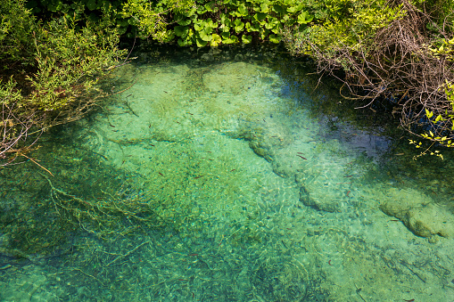 Crystal clear water at a small pond hidden in the wilderness of the Plitvice Lakes National Park.\nPlitvička Jezera, Croatia - June 25th 2019 - Official photography permission obtained by the Plitvice Lakes National Park and available on request.
