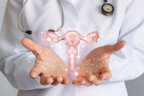 istock Worker of medicine shows the uterus . 1161780540