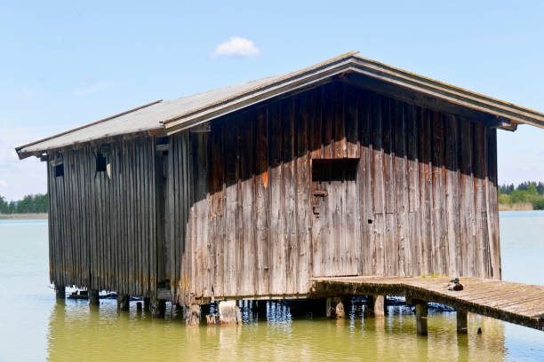 istock Boathouse on a mountain lake with a sleeping duck on jetty 1161781531