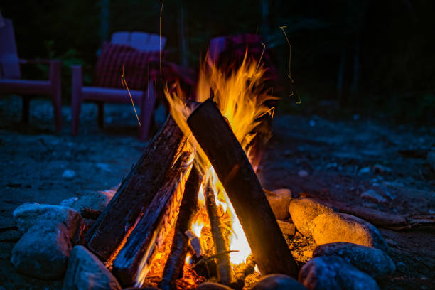 istock Campfire at night in the woods 1161785359