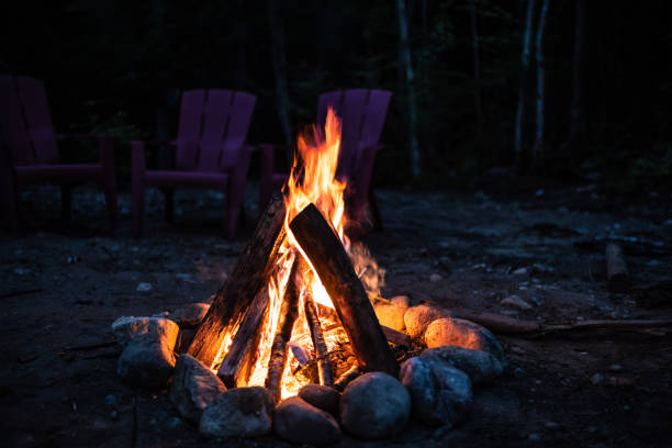 istock Campfire at night in the woods 1161785381