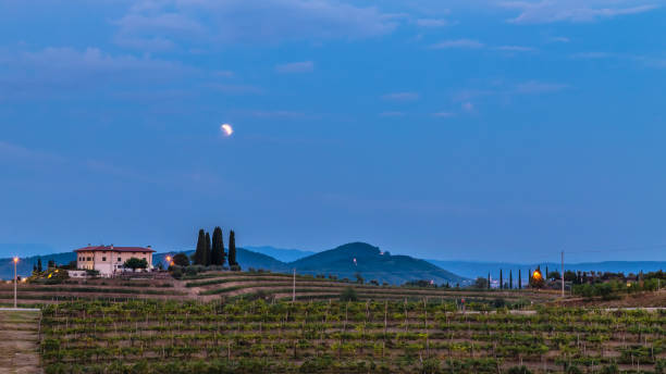 istock Evening in the vineyard of Rosazzo during a moon eclipse 1161786272