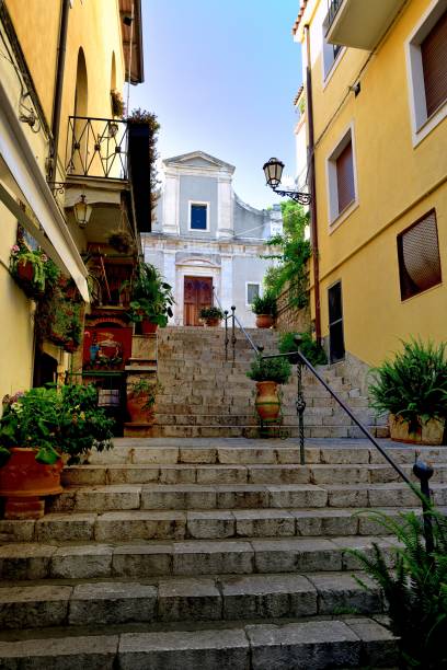 istock Planters on the flight of stairs 1161786404