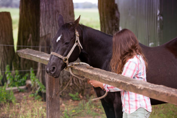 istock brunette young woman standing outdoors with her black horse 1161786783