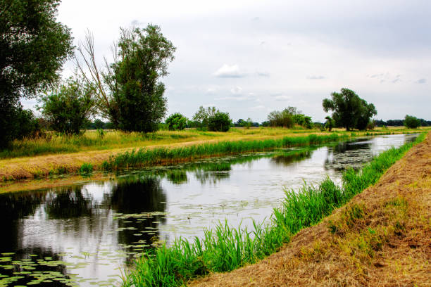istock beautiful landscape with river and tress and green grass 1161787475