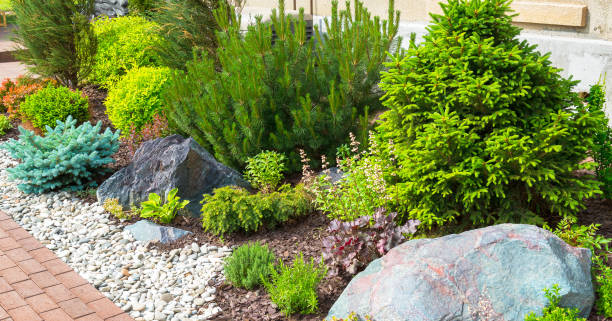 istock Landscaping in home garden 1161788164