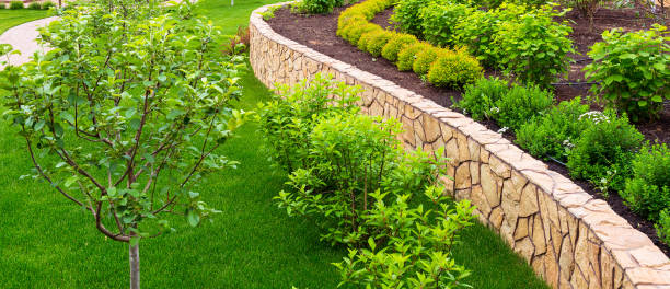 istock Landscaping in home garden 1161788170