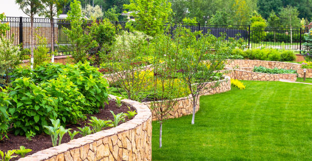 istock Landscaping in home garden 1161788175