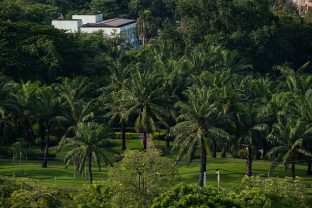 istock Parks to relax on holiday 1161788990