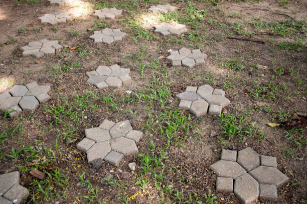 istock Stone walkway in the lawn 1161789078