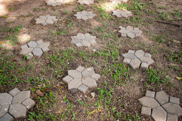 istock Stone walkway in the lawn 1161789112