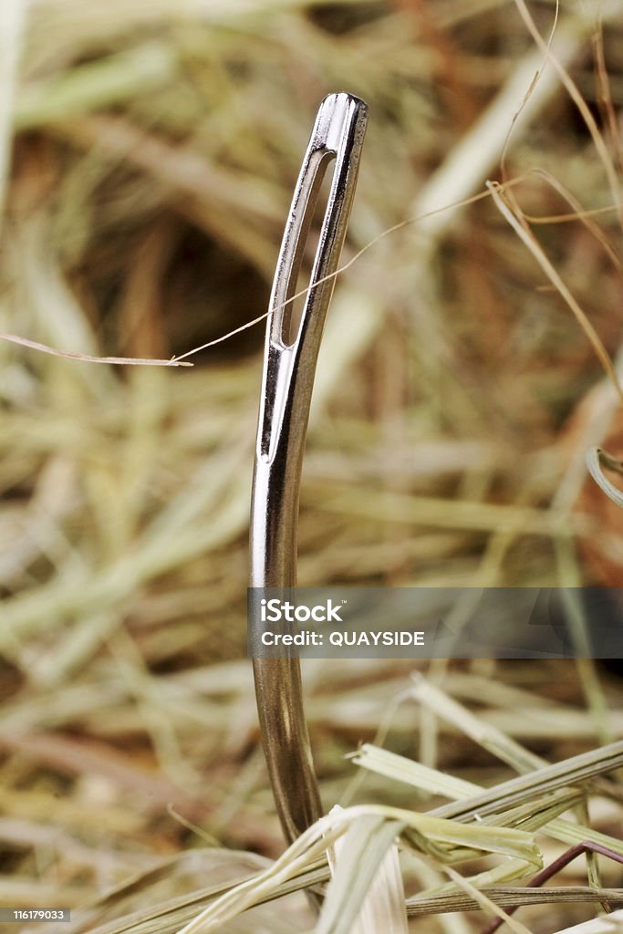 needle in a haystack Needle in a Haystack Stock Photo