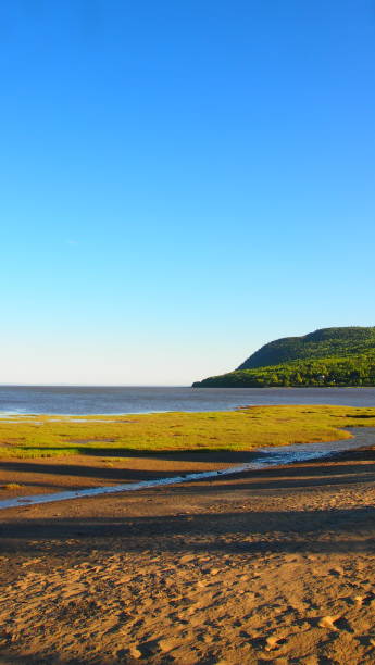 Baie-Saint-Paul Beach (photo2) Landscape of the beach of the city Baie-Saint-Paul in the Charlevoix region of Quebec. charlevoix photos stock pictures, royalty-free photos & images