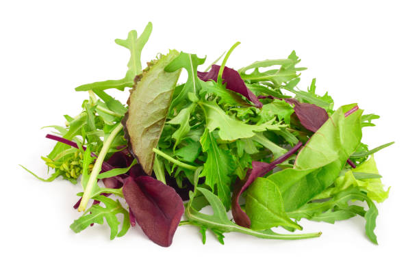 istock Mix of different salads isolated on white background 1161797522
