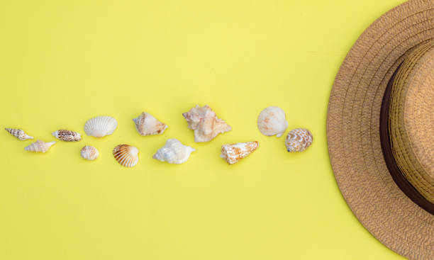 istock Seashells and hat on a yellow background, summer holidays mood, top view 1161797618