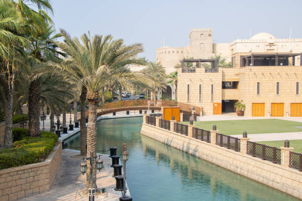 istock Palm tree with Arabic buildings in Dubai, United Arab Emirates 1161802151