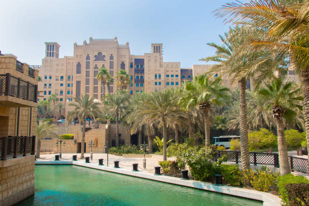 istock Palm tree with Arabic buildings in Dubai, United Arab Emirates 1161802170