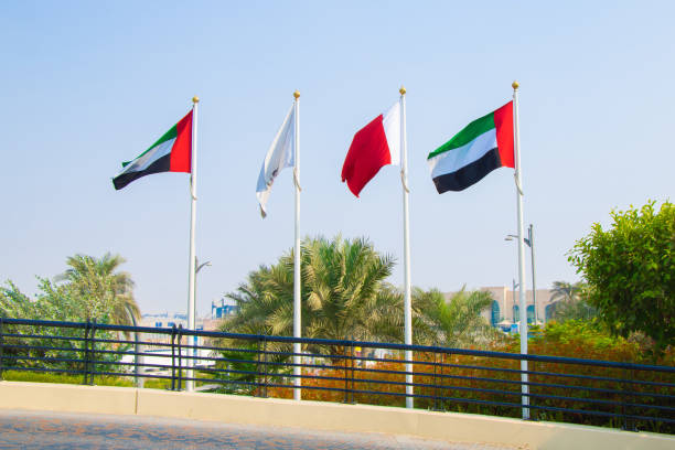 istock UAE flags with palm trees in Dubai, United Arab Emirates 1161802172