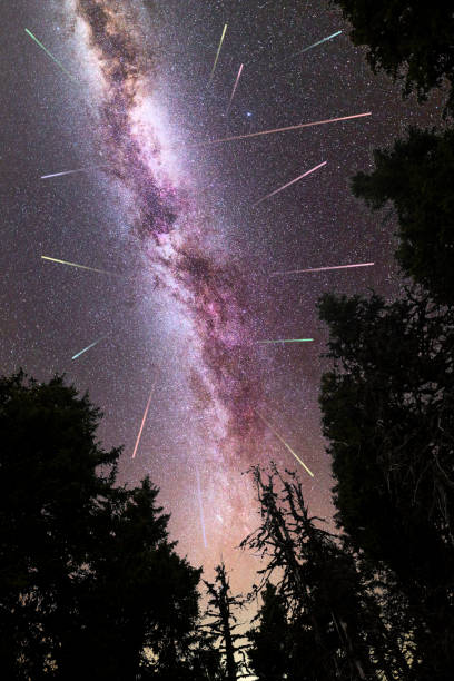 istock Purple Milky way falling stars pine trees silhouette 1161802804