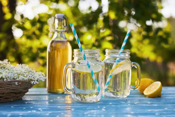 Two glasses of elderflower lemonade with bottle of syrup and elderberry flowers