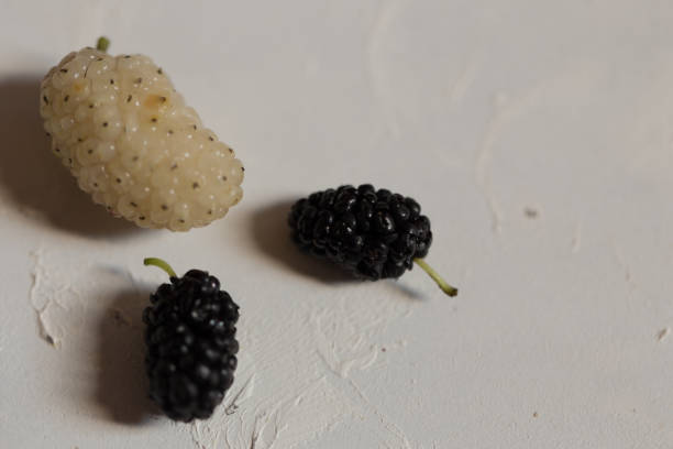 istock white and black mulberries; most delicious fruit 1161805282