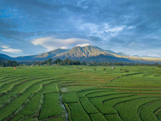 istock beauty light at mountain range indonesia at rice fields in north bengkulu 1161806589