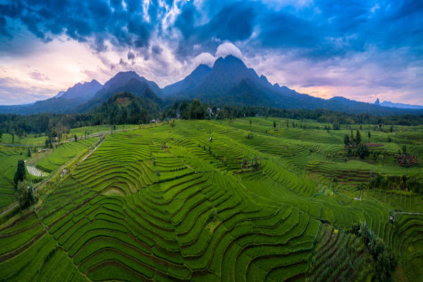 istock panoramic from aerial view in north bengkulu, indonesia 1161806790
