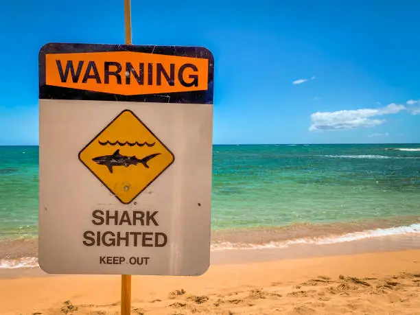 Close-Up of a Warning Sign for a Shark Sighting on the Beach on the Island of Oahu, Hawaii - on a Bright Sunny Day with Blue Skies and Clear Waters in the Background