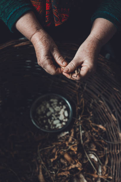 istock Women's hands choose bean seeds from pods, beans are white. 1161808012