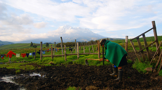 Riobamba, Chimborazo / Ecuador - May 10 2010: Old Indigenous woman digging the earth with her hoe near the volcano Chimborazo in the background